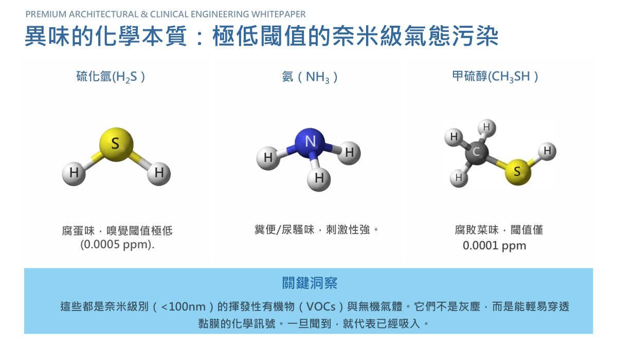 異味分子的奈米級分子結構示意圖。